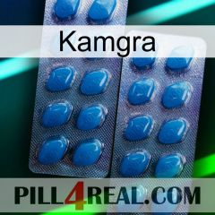 Kamgra viagra2